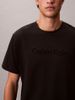 Calvin Klein - Áo Thun Tay Ngắn Nam Logo Graphic T-Shirt
