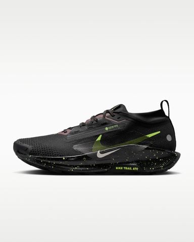Nike - Giày Chạy Bộ Nam Pegasus Trail 5 GORE-TEX Shoes