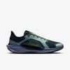 Nike - Giày chạy bộ thể thao Nam Pegasus 41 GORE-TEX Men's Waterproof Road Running Shoes