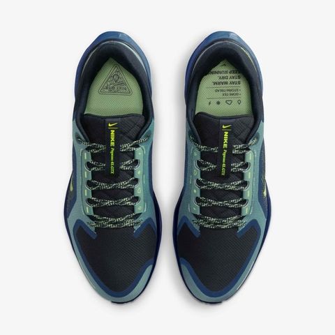 Nike - Giày chạy bộ thể thao Nam Pegasus 41 GORE-TEX Men's Waterproof Road Running Shoes