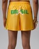 Nike - Quần Ngắn Thể Thao Nữ Jordan Brooklyn Women's Knit Brazil Shorts