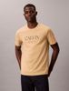 Calvin Klein - Áo Thun Tay Ngắn Nam Crewneck Graphic Tee