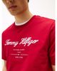 Tommy Hilfiger - Áo Thun Tay Ngắn Nam Script Logo Tee
