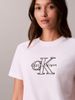 Calvin Klein - Áo Thun Tay Ngắn Nữ Shine Monologo Graphic Classic T-Shirt