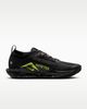 Nike - Giày Chạy Bộ Nam Pegasus Trail 5 GORE-TEX Shoes