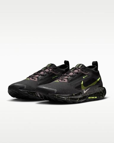 Nike - Giày Chạy Bộ Nam Pegasus Trail 5 GORE-TEX Shoes