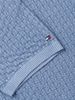 Tommy Hilfiger - Áo Thun Có Cổ Nam Washed Structured Polo Shirt