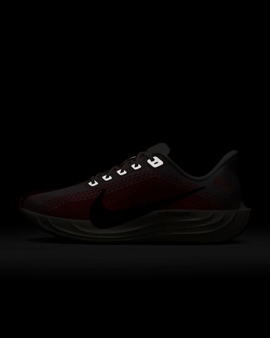 Nike - Giày Chạy Bộ Nam Pegasus Plus