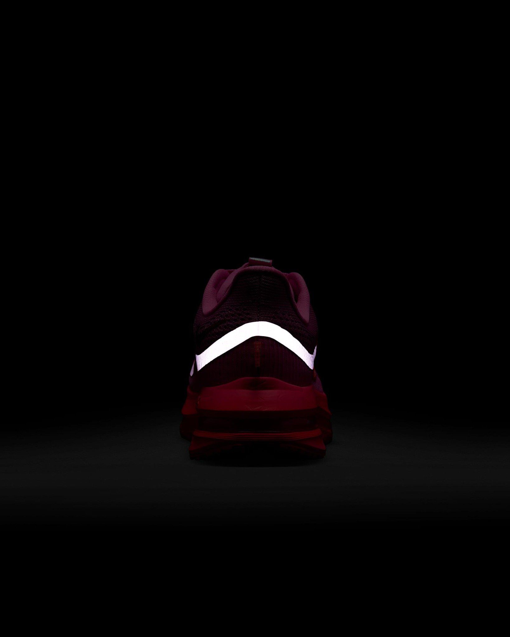 Nike - Giày chạy bộ thể thao Nữ Pegasus Premium Women's Road Running Shoes