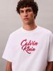 Calvin Klein - Áo thun thời trang nam Script Logo Graphic Relaxed T-Shirt