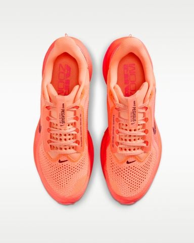 Nike - Giày Chạy Bộ Nữ Pegasus Premium Road Running Shoes
