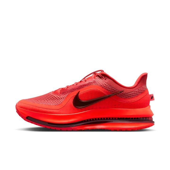 Nike - Giày Chạy Bộ Nam Pegasus Premium Men's Road Running Shoes