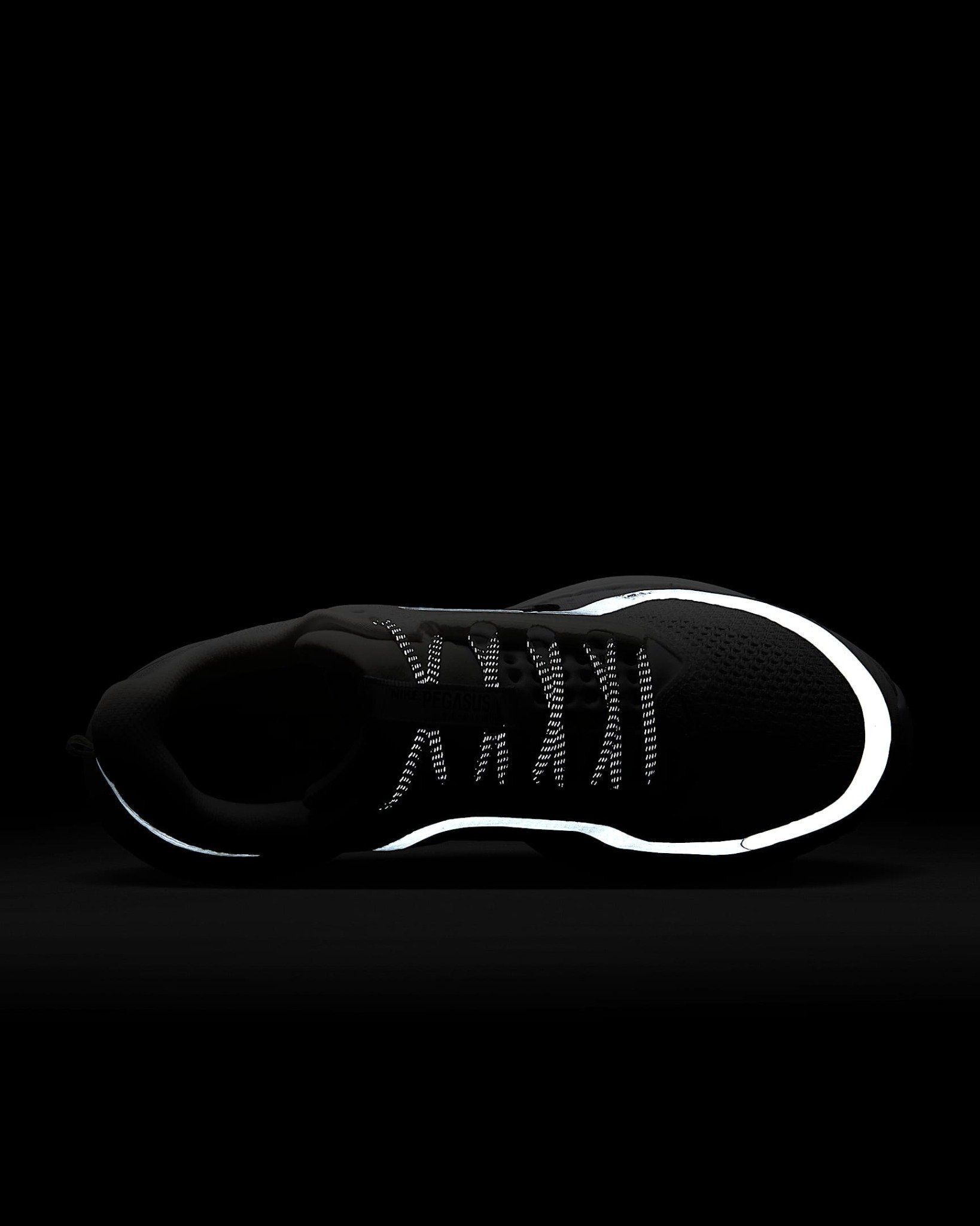 Nike - Giày chạy bộ thể thao Nữ Pegasus Premium Women's Road Running Shoes