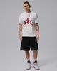 Nike - Áo Tay Ngắn Thể Thao Nam Jordan Sport Dri-FIT Golf T-Shirt