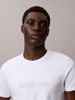 Calvin Klein - Áo Thun Nam Slim Sleek Interlock Graphic Tee