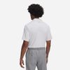 Under Armour - Áo thun có cổ nam Drive Team Dual Stripe Golf Polo