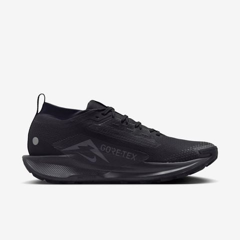 Nike - Giày Chạy Bộ Nam Pegasus Trail 5 GORE-TEX Shoes