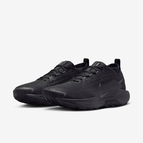 Nike - Giày Chạy Bộ Nam Pegasus Trail 5 GORE-TEX Shoes