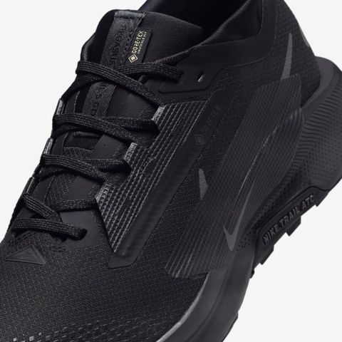 Nike - Giày Chạy Bộ Nam Pegasus Trail 5 GORE-TEX Shoes