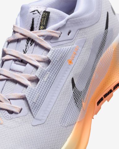 Nike - Giày chạy bộ thể thao Nữ Pegasus Trail 5 GORE-TEX Women's Waterproof Trail Running Shoes