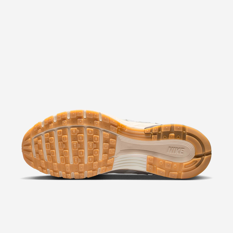 Nike - Giày Thời Trang Nam Sportswear P-6000