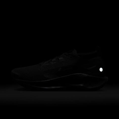 Nike - Giày Chạy Bộ Nam Pegasus Trail 5 GORE-TEX Shoes