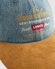 Levi's - Nón nam Men's Graphic Relaxed Dad Cap