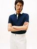 Tommy Hilfiger - Áo thun có cổ polo tay ngắn nam Regular Fit Collar Embroidery Polo Shirt