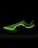 Nike - Giày Chạy Bộ Nam Pegasus Premium Men's Road Running Shoes