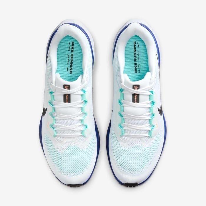 Nike - Giày chạy bộ thể thao Nam Nike Pegasus 41 Men's Road Running Shoes