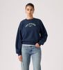 Levi's - Áo Sweatshirt Nữ Graphic Vintage Boxy Sweatshirt