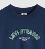 Levi's - Áo Sweatshirt Nữ Graphic Vintage Boxy Sweatshirt