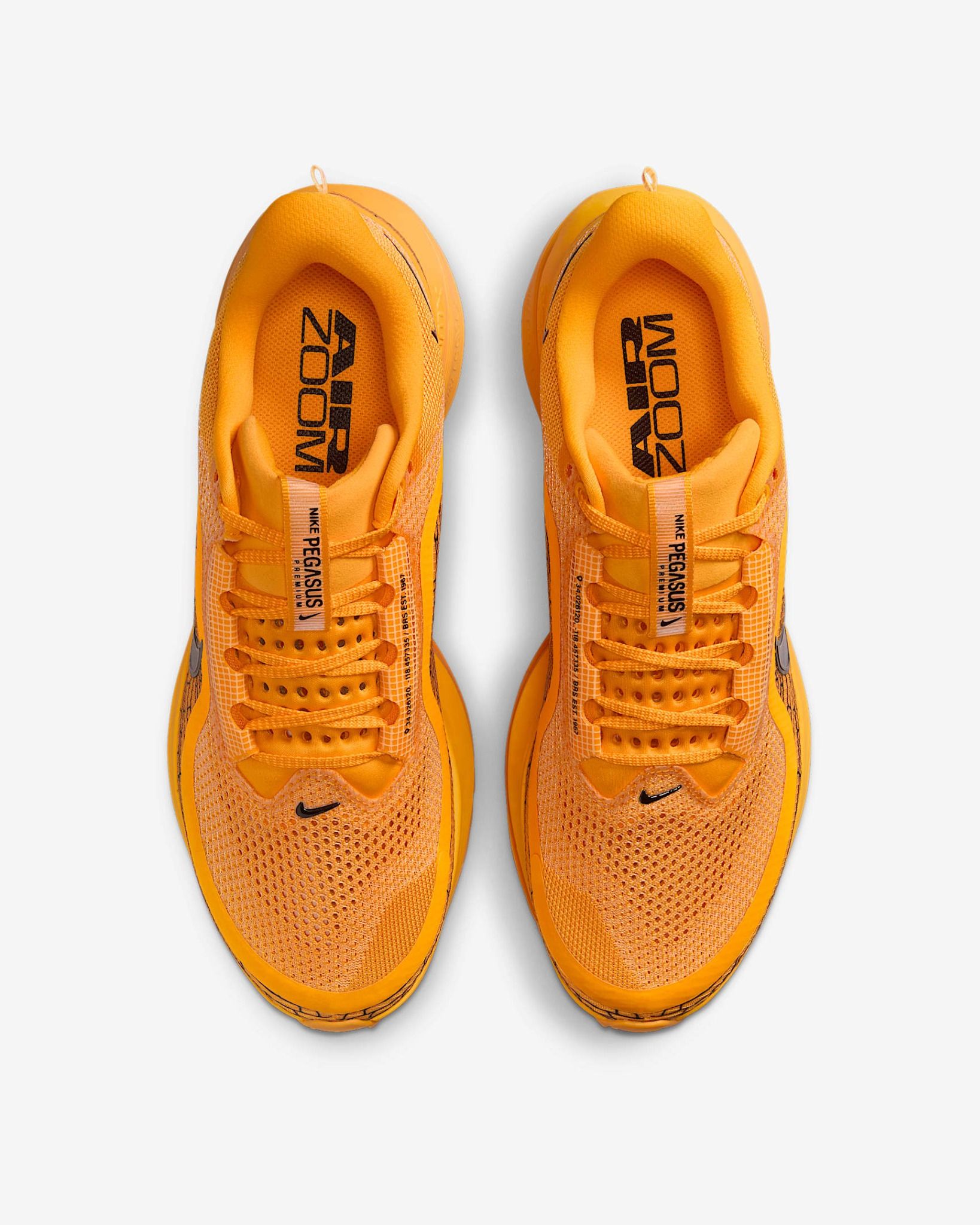 Nike Giày chạy bộ thể thao Nam Nike Pegasus Premium LV8 Men