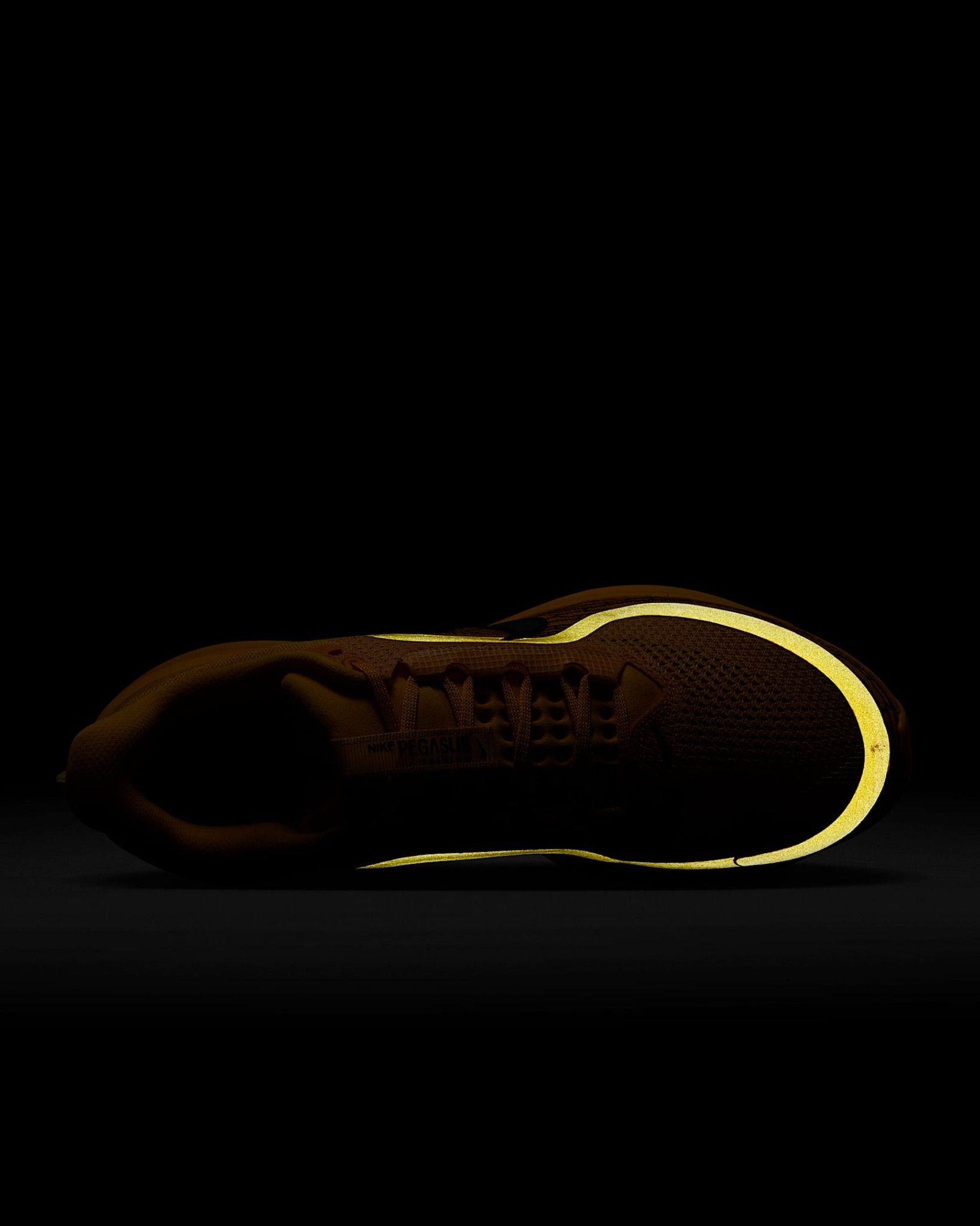 Nike - Giày chạy bộ thể thao Nam Nike Pegasus Premium LV8 Men's Road Running Shoes