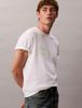 Calvin Klein - Áo thun thời trang nam Circle Graphic Relaxed T-Shirt