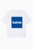 Calvin Klein - Áo thun thời trang nam Logo Box Graphic Relaxed T-Shirt