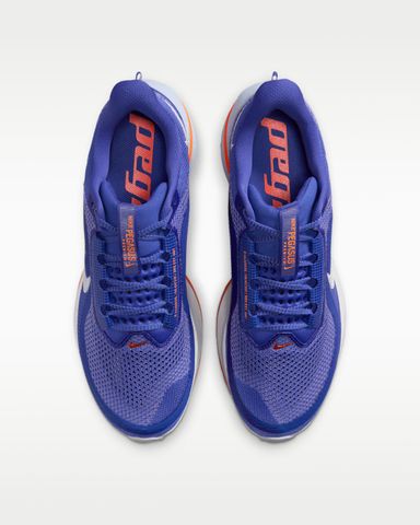Nike - Giày Chạy Bộ Nam Pegasus Premium Men's Road Running Shoes