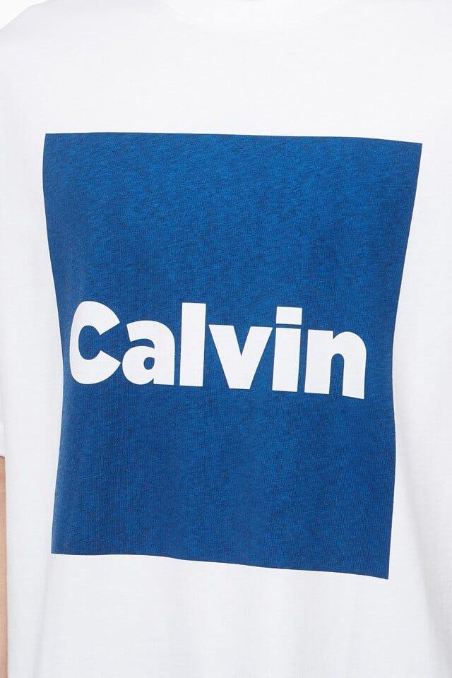 Calvin Klein - Áo thun thời trang nam Logo Box Graphic Relaxed T-Shirt
