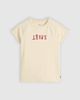 Levi's - Áo thun tay ngắn nữ Levi's® Women's Graphic Riley Raglan Tee