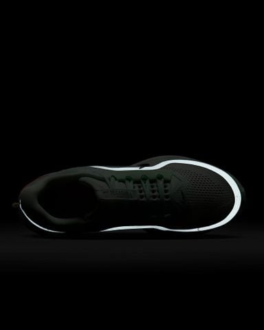 Nike - Giày chạy bộ thể thao Nam Nike Pegasus Premium Men's Road Running Shoes