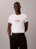 Calvin Klein - Áo Thun Tay Ngắn Nam Monogram Pride T-Shirt