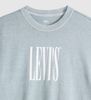 Levi's - Áo Thun Nam Graphic Vintage Fit Tee
