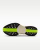Nike - Giày Chạy Bộ Nam Nike Pegasus Plus Men's Road Running Shoes