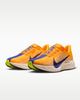 Nike - Giày Chạy Bộ Nam Nike Pegasus Plus Men's Road Running Shoes