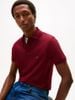Tommy Hilfiger - Áo thun có cổ polo tay ngắn nam TH 1985 Regular Polo