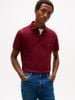 Tommy Hilfiger - Áo thun có cổ polo tay ngắn nam TH 1985 Regular Polo