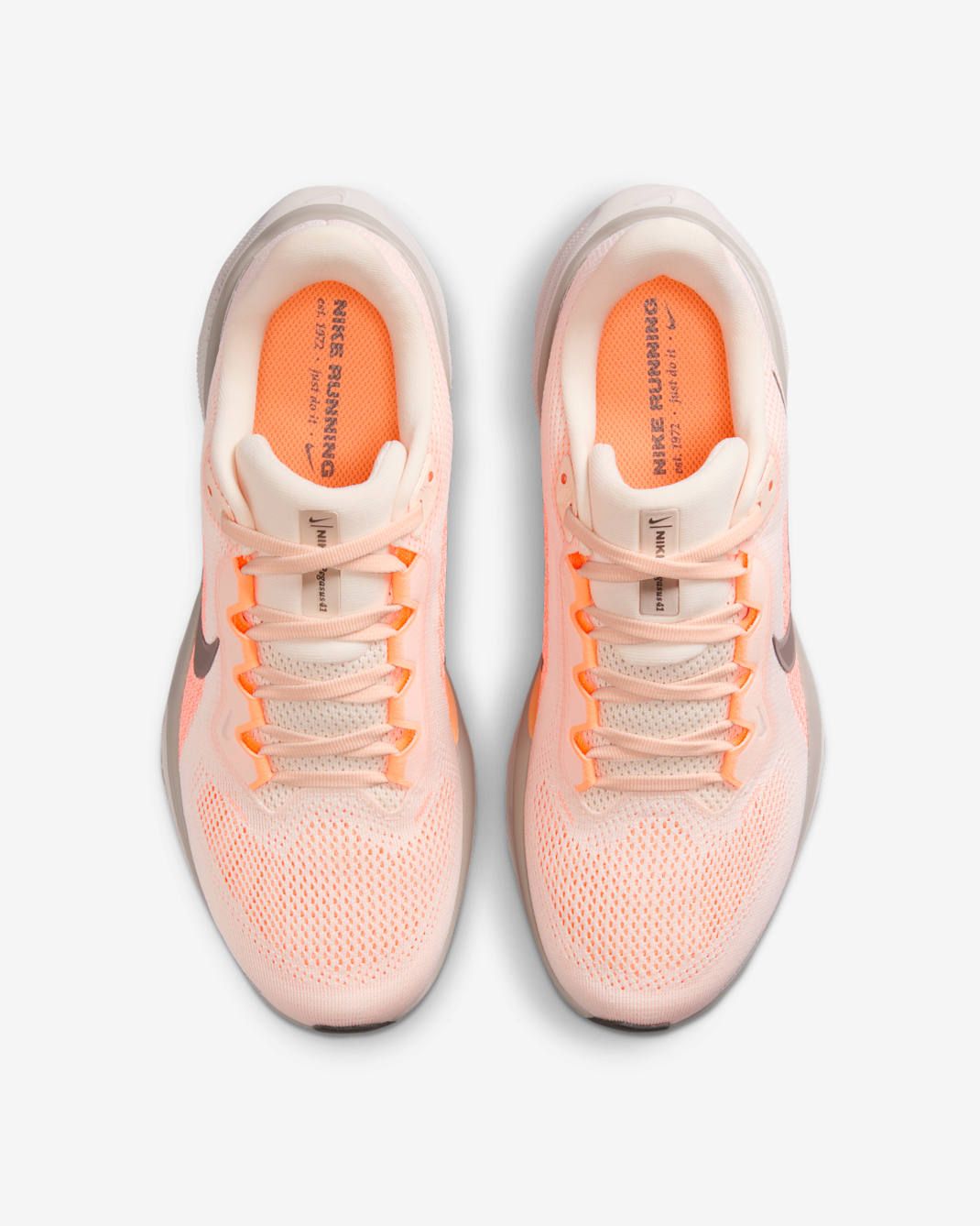 Nike - Giày chạy bộ thể thao Nữ Pegasus 41 Women's Road Running Shoes