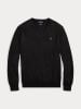 Ralph Lauren - Áo Len Nam Long Sleeve Sweater