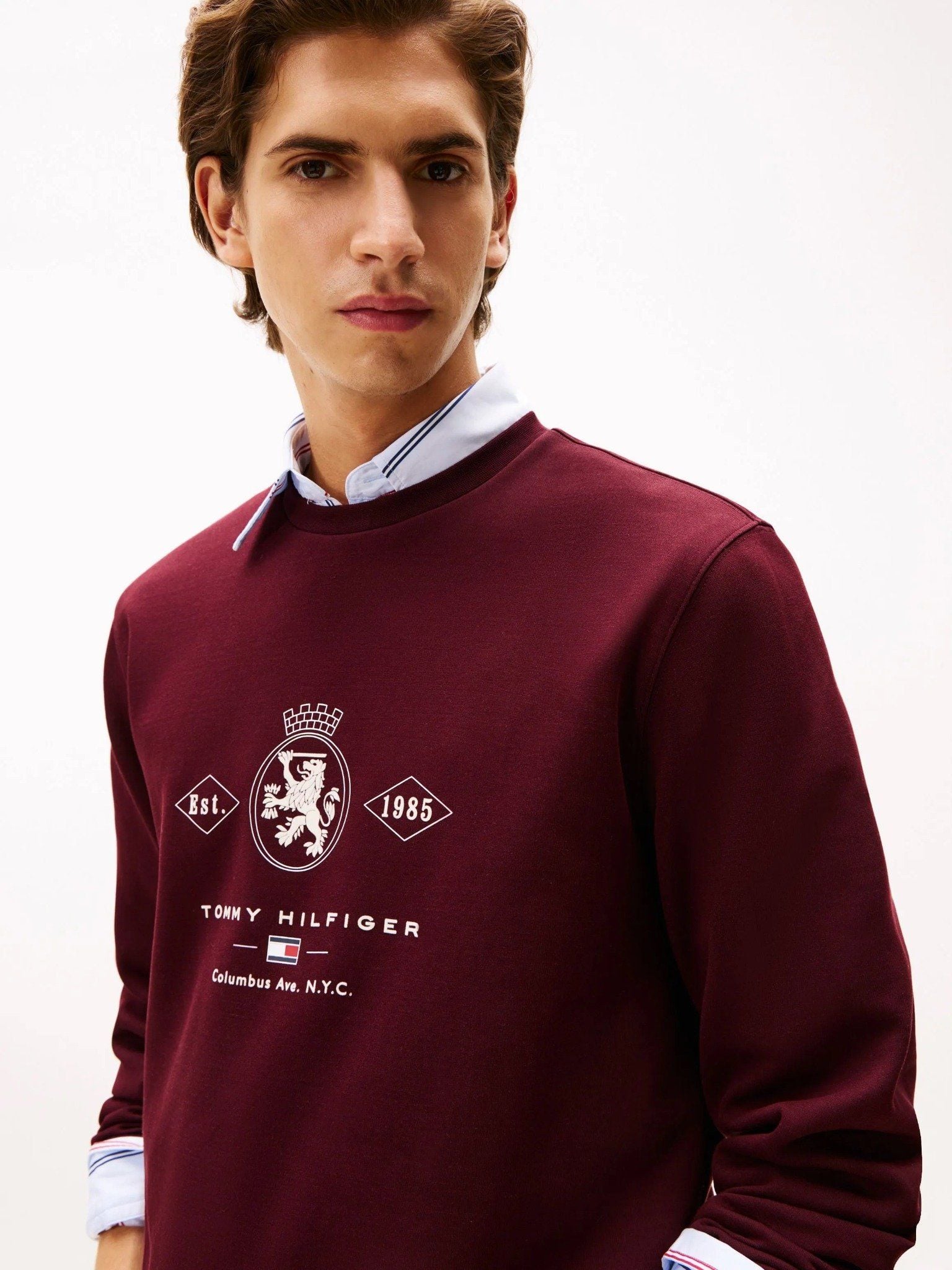 Tommy Hilfiger - Áo nỉ tay dài nam Varsity Crest Graphic Sweatshirt