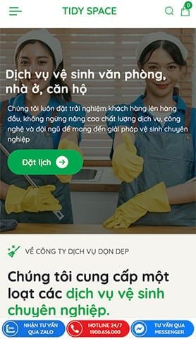 Mẫu website Dịch vụ vệ sinh Tidy Space